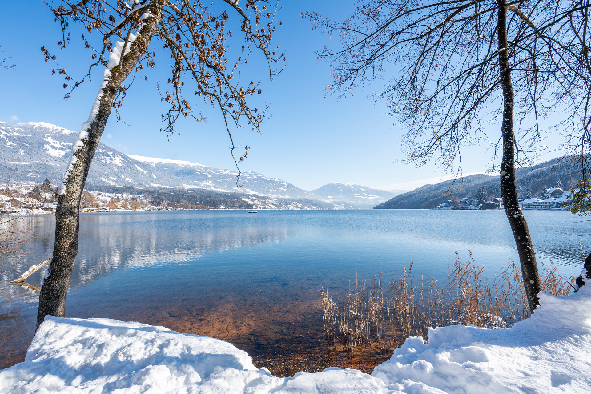 Winteraufnahme vom Seeufer