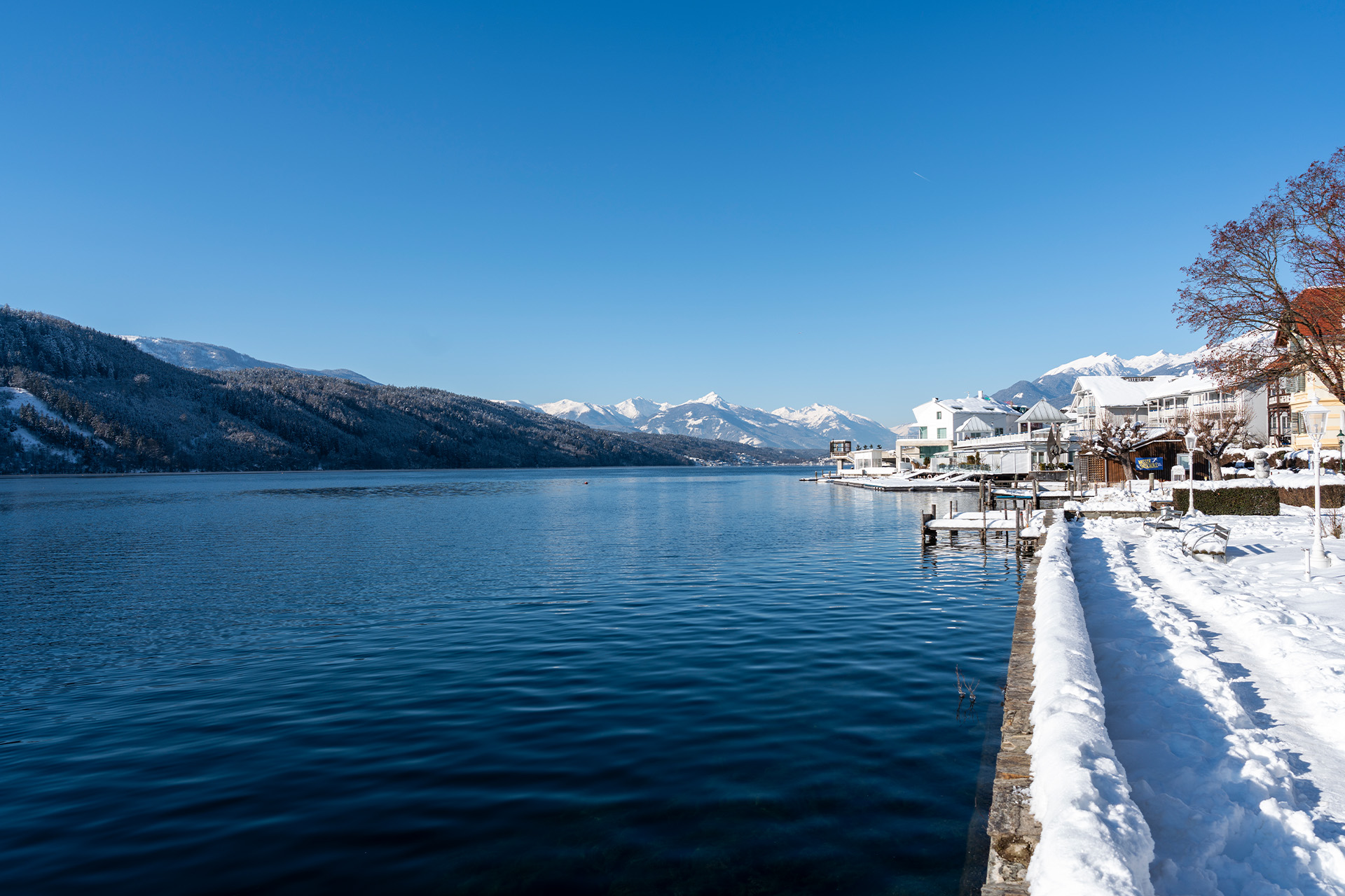 Aufnahme vom Seeufer im Winter