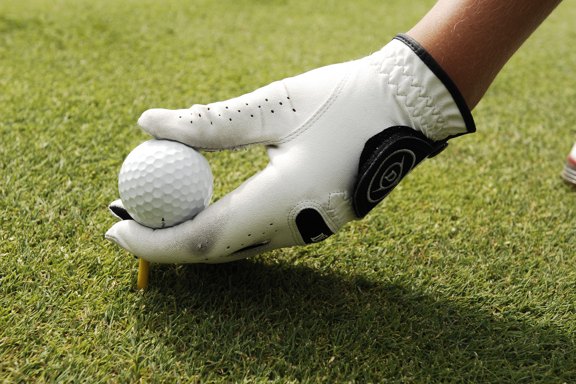Hand hält Golfball