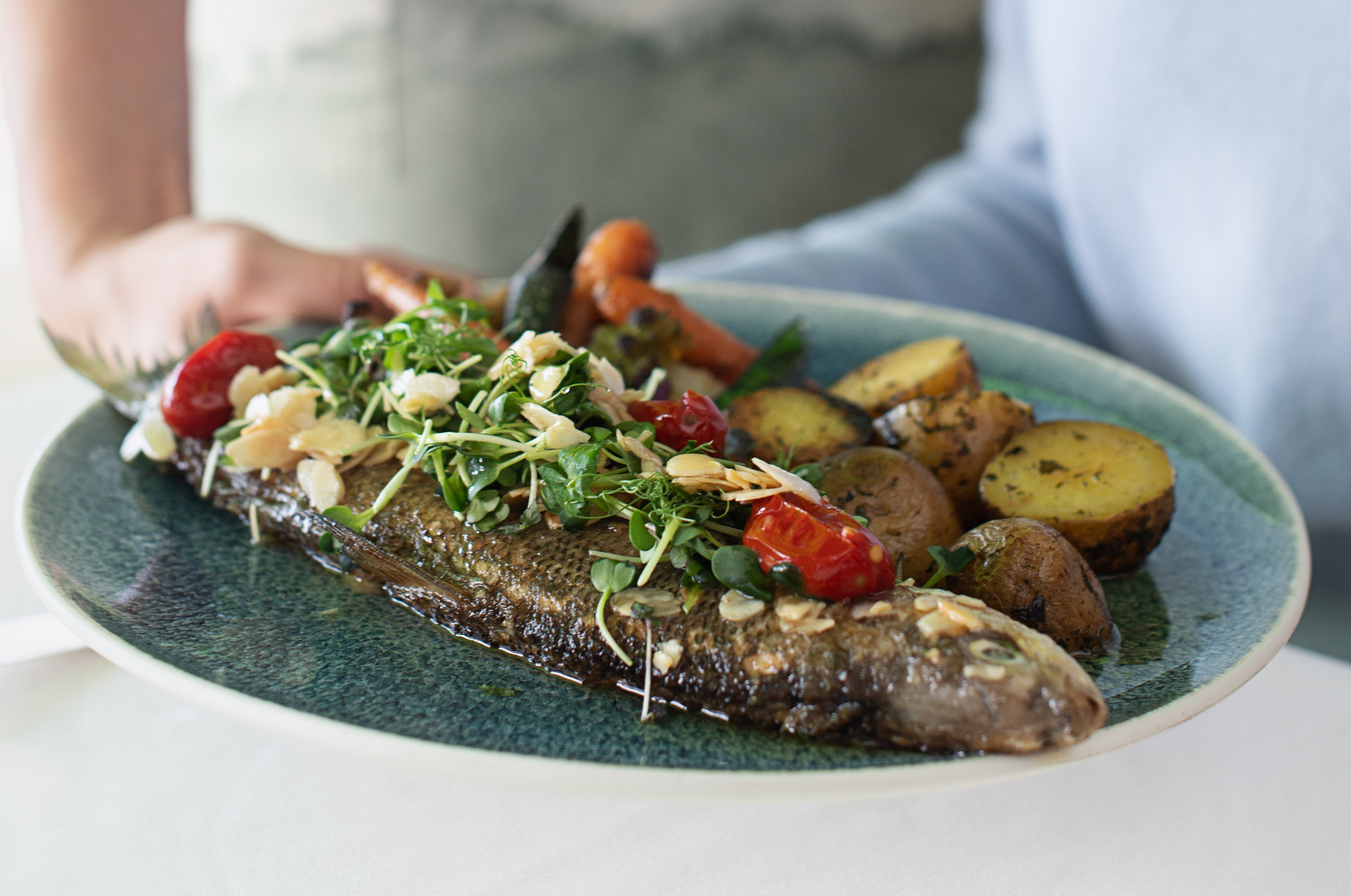 Fisch auf Teller mit Gemüse