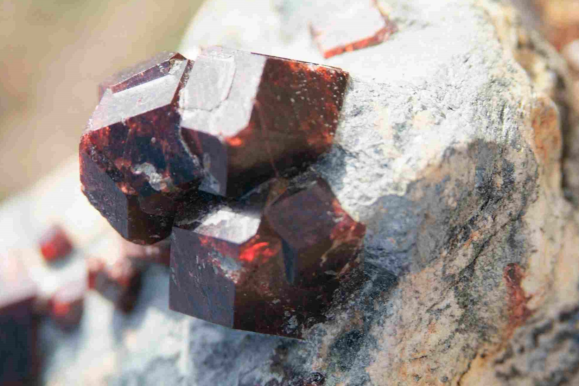 Aufnahme von einem Granat Kristall