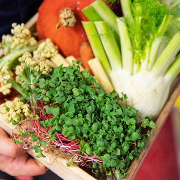 Wooden basket with fresh vegetables