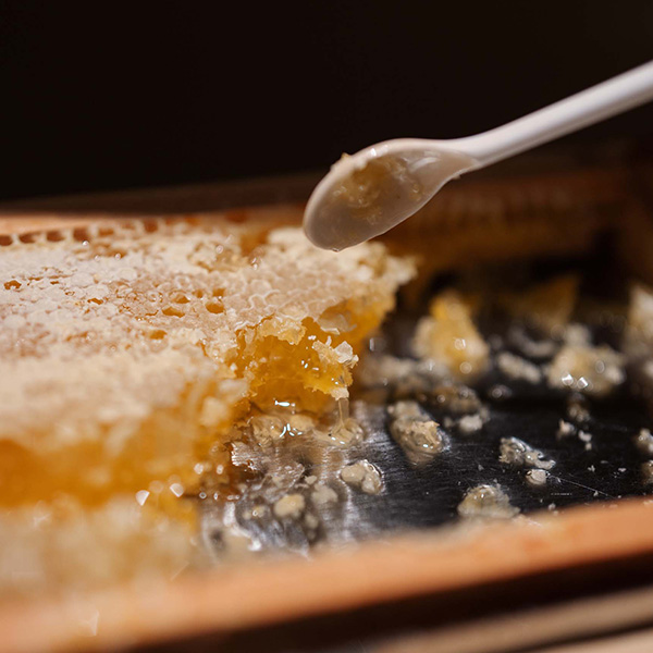 Bienenwabe mit Löffel