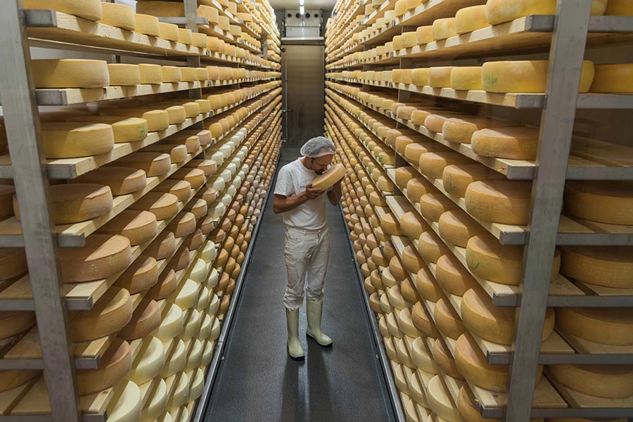 Ein Man steht in einen Käselager und riecht an einen Käse.